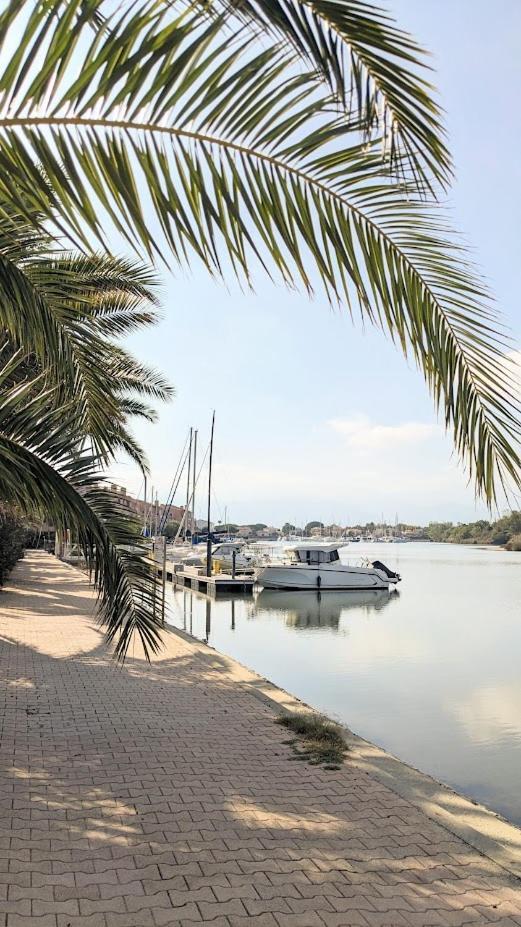 Standing T3Bis Presqu'Ile De La Lagune - Piscine - Mer & Nature Saint-Cyprien  Bagian luar foto