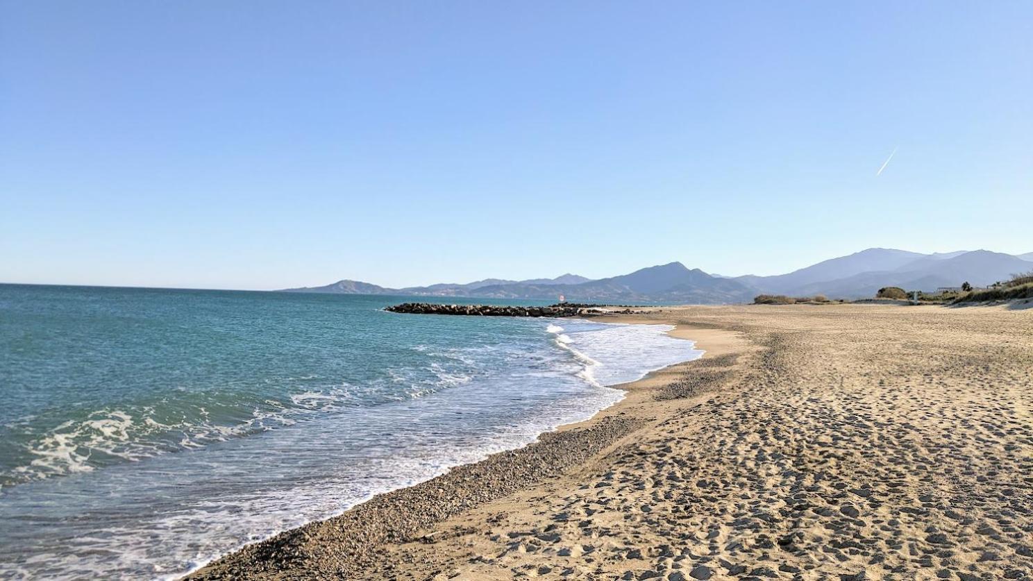 Standing T3Bis Presqu'Ile De La Lagune - Piscine - Mer & Nature Saint-Cyprien  Bagian luar foto